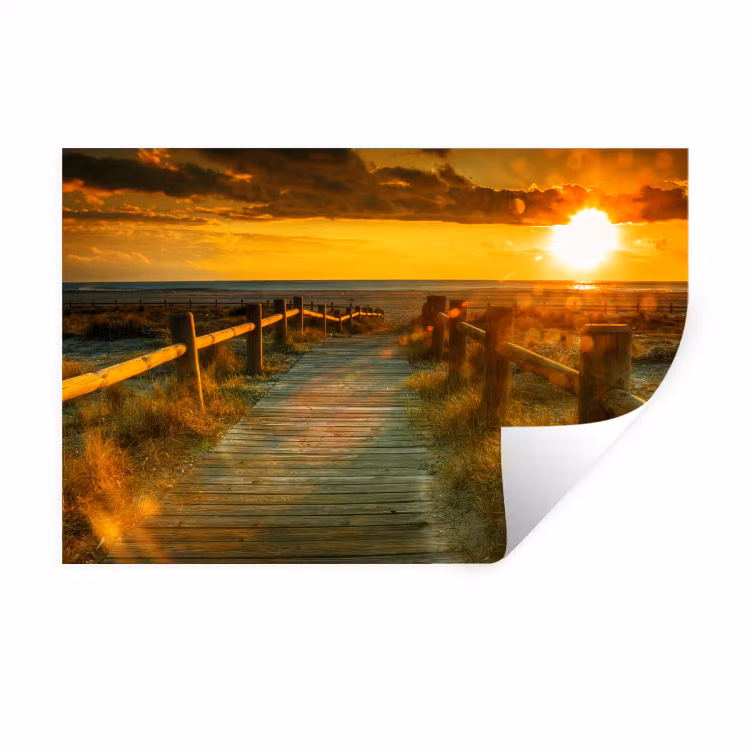 Zon - Strand - Duin - Horizon - Gras - Pad - Oranje Muursticker klein -3d