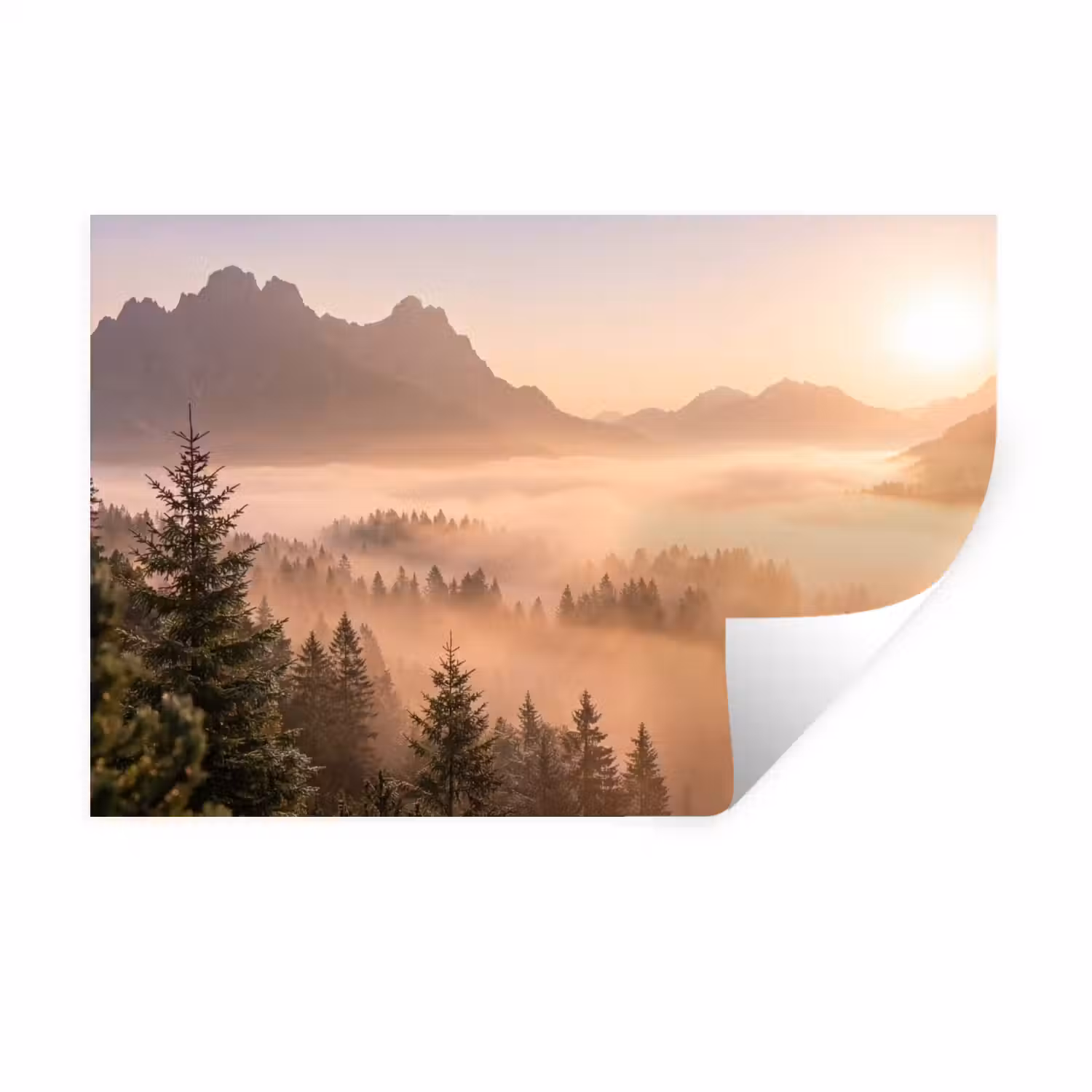 Zonlicht - Mist - Bergen - Bomen Muursticker klein -3d