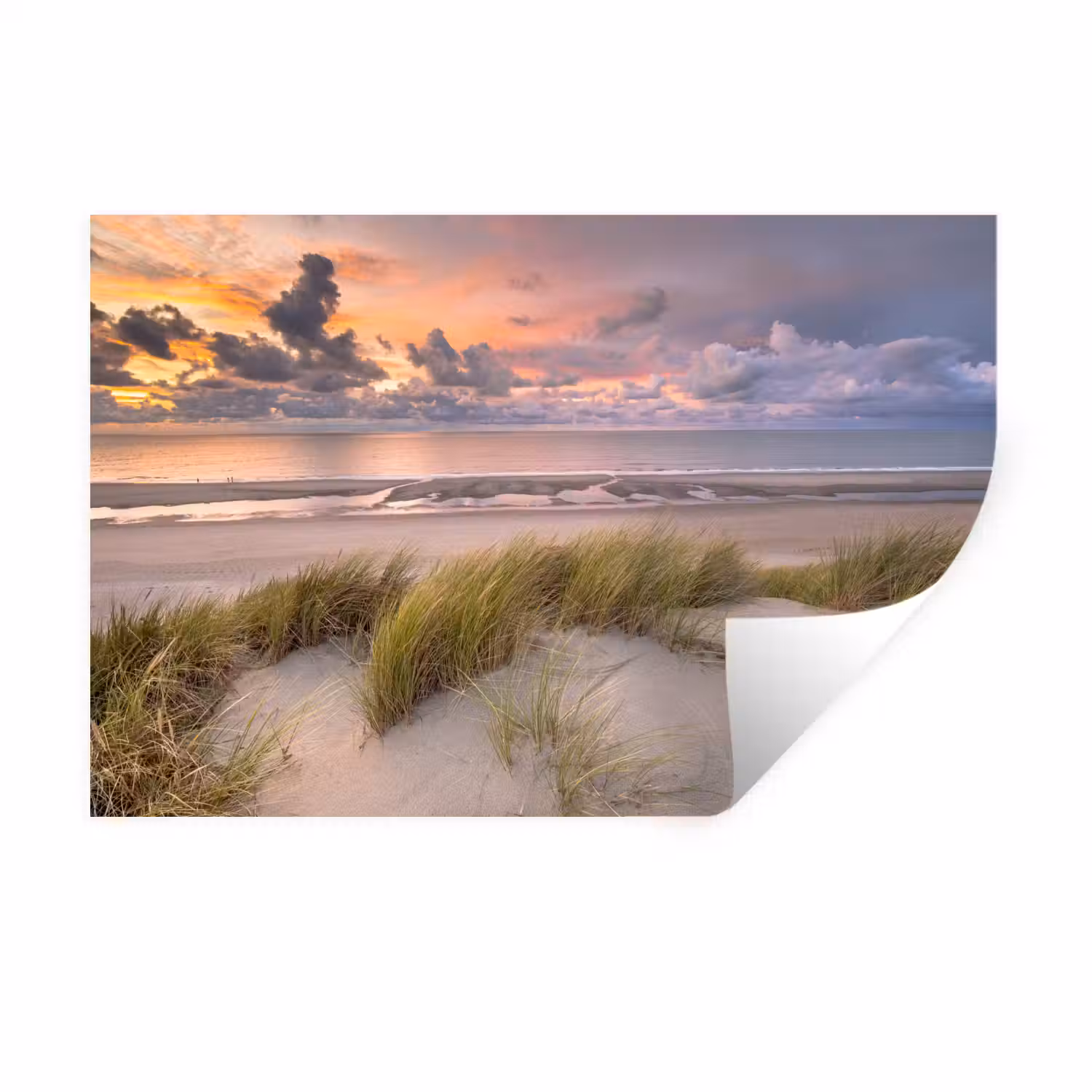 Zonsondergang - Duin - Strand - Planten - Zee Muursticker klein -3d