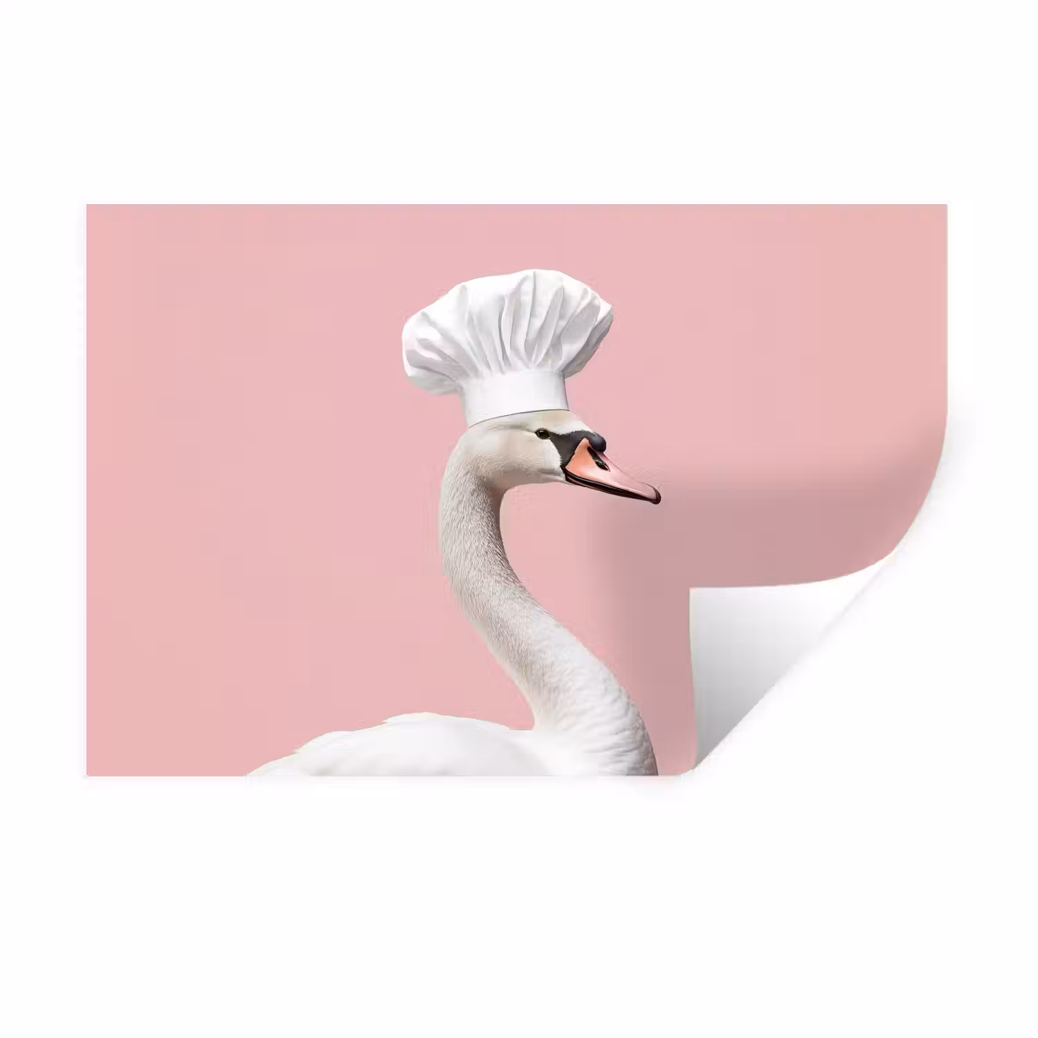 Zwaan - Koksmuts - Mooi - Klassiek Muursticker klein -3d