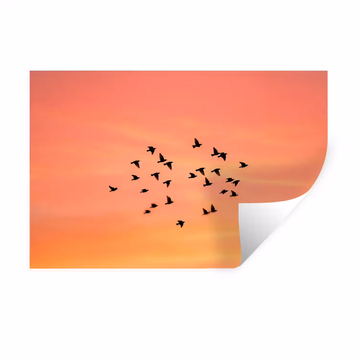 Zwerm - Vogels - Oranje Muursticker klein -3d