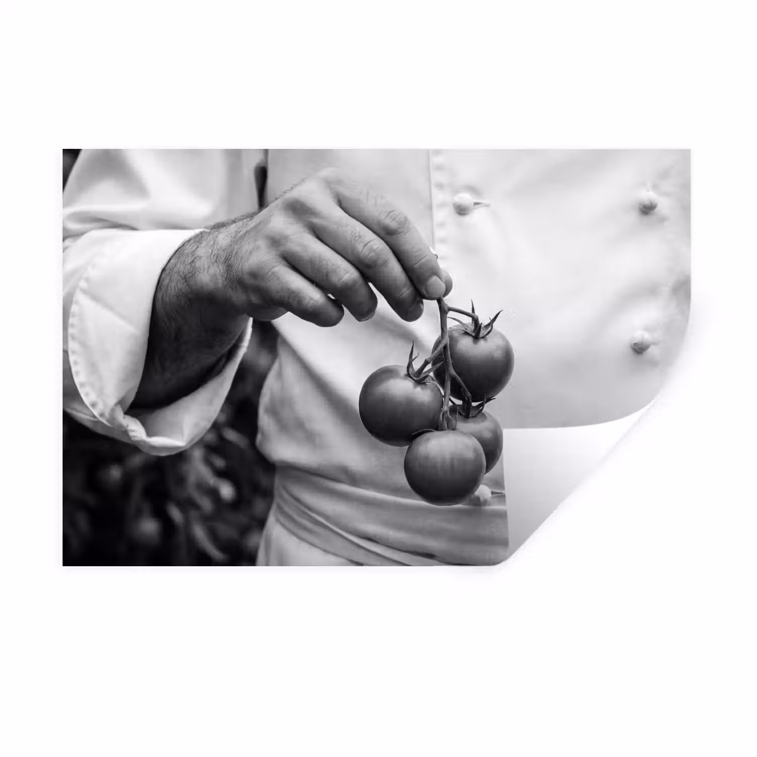 Tomaten - Chef - Zwart - Wit Muursticker klein -3d