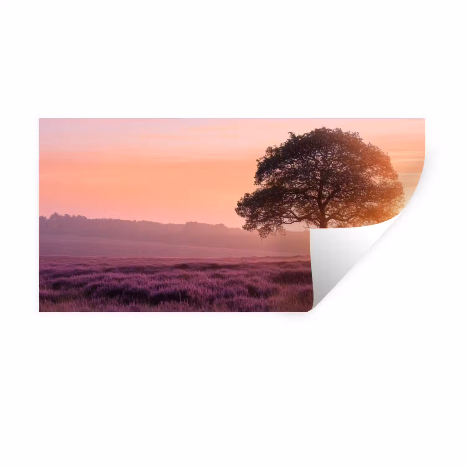 Boom - Heide - Zonsopgang Muursticker klein -3d