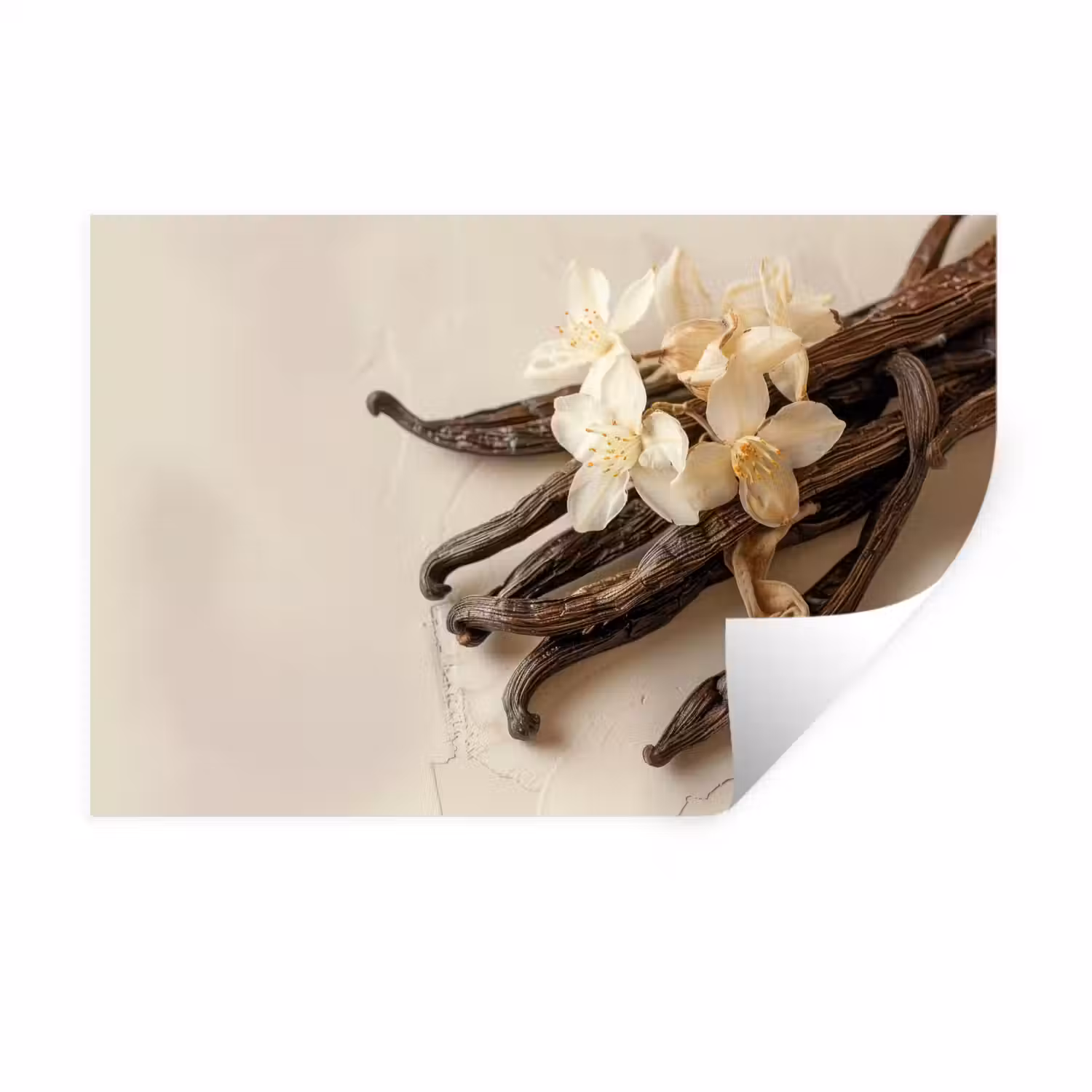 Vanille - Bloemen - Beige Muursticker klein -3d