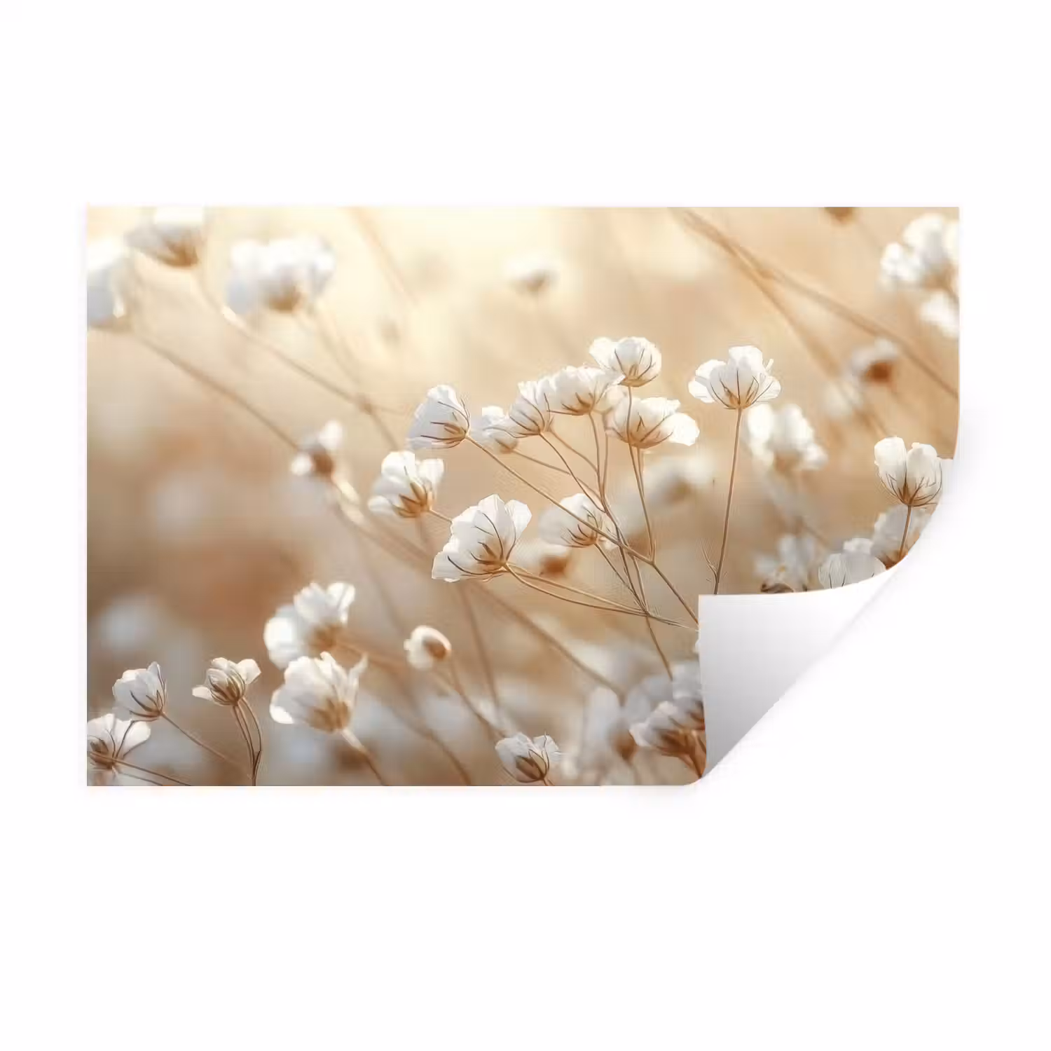 Wilde - Bloemen - Wit Muursticker klein -3d