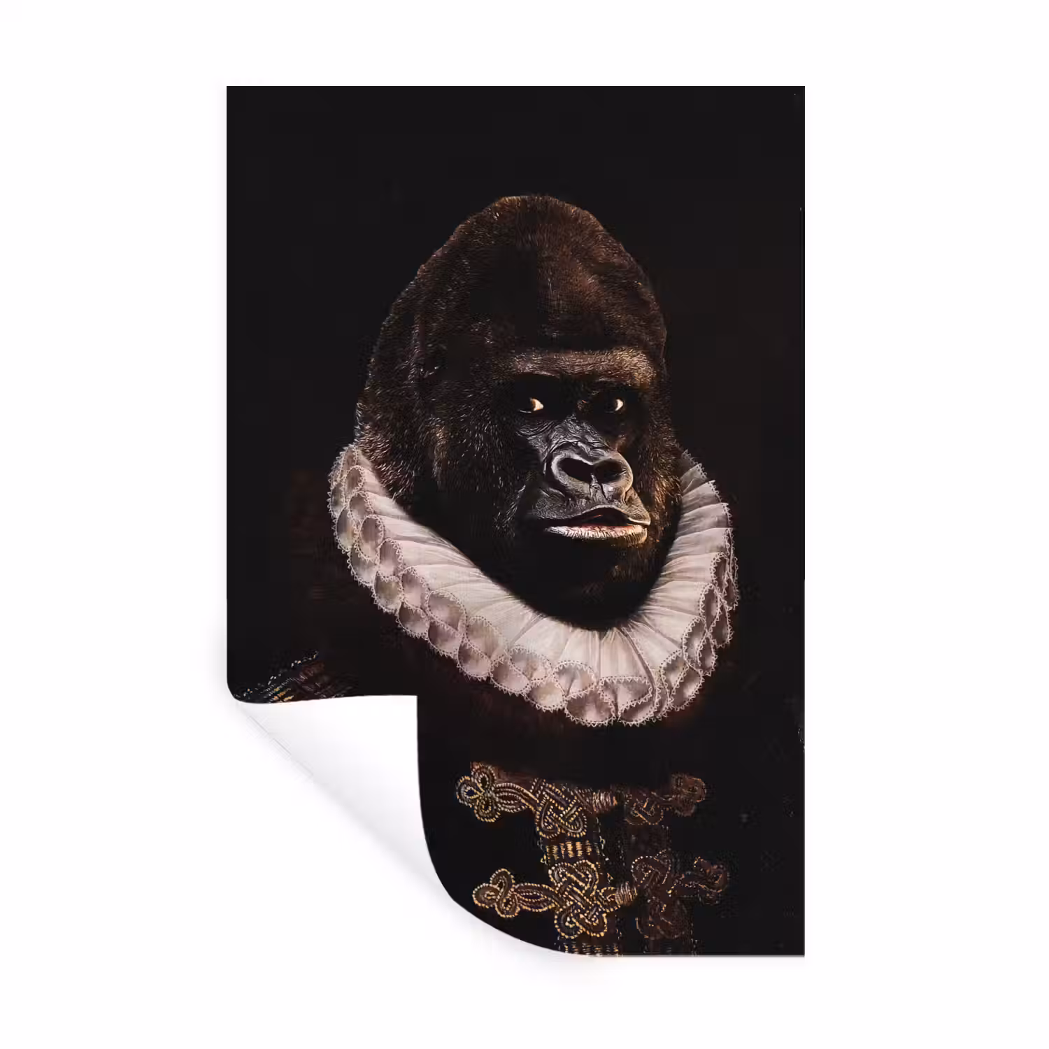 Willem van Oranje - Adriaen Thomasz - Aap Muursticker klein -3d