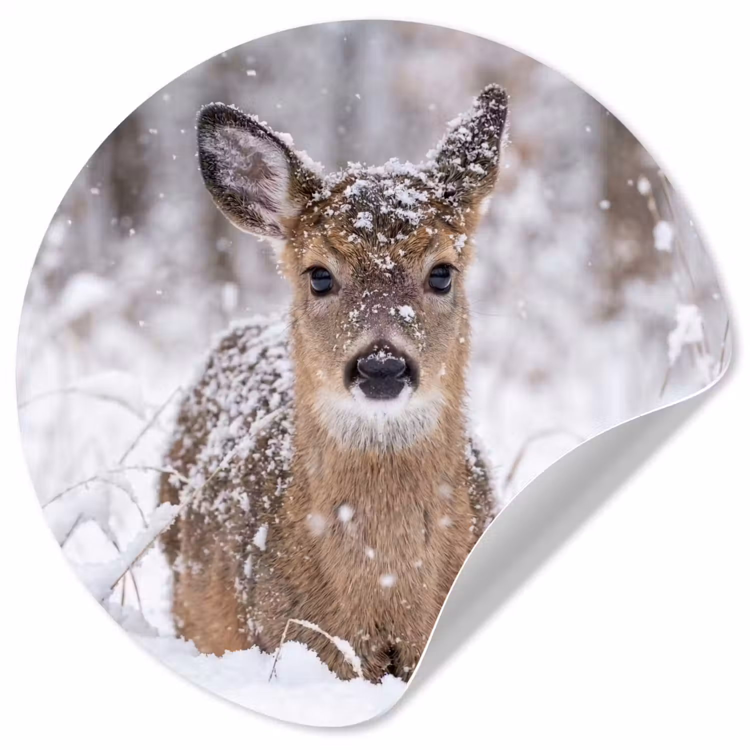 Hert - Sneeuw - Bos - Dieren - Vertederend Wandcirkel behangsticker klein -3d
