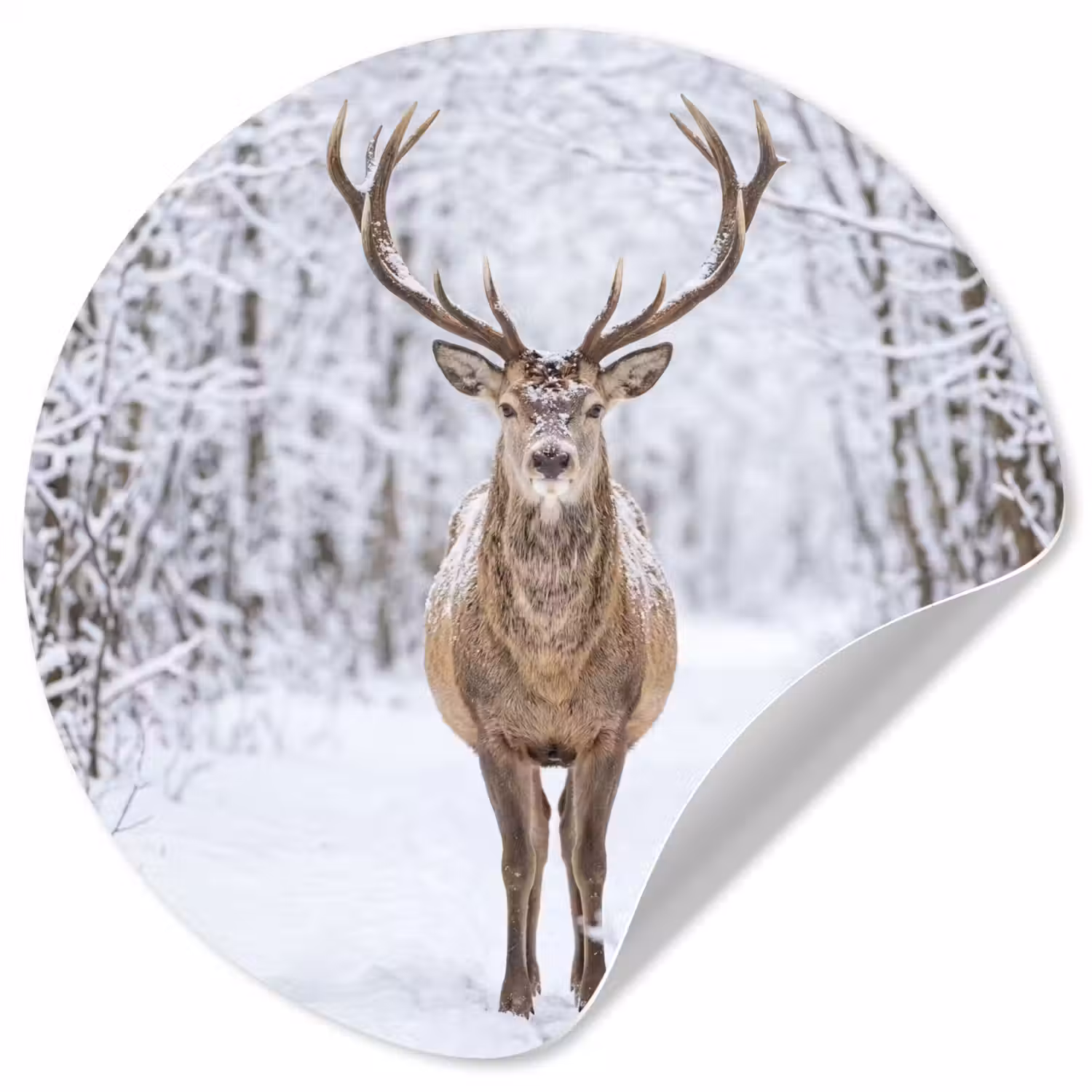 Hert - Winter - Bos - Natuur - Wit Wandcirkel behangsticker klein -3d