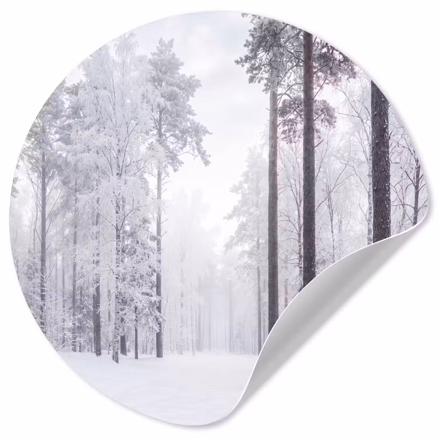 Bos - Sneeuw - Pad - Winter - Stilte Wandcirkel behangsticker klein -3d