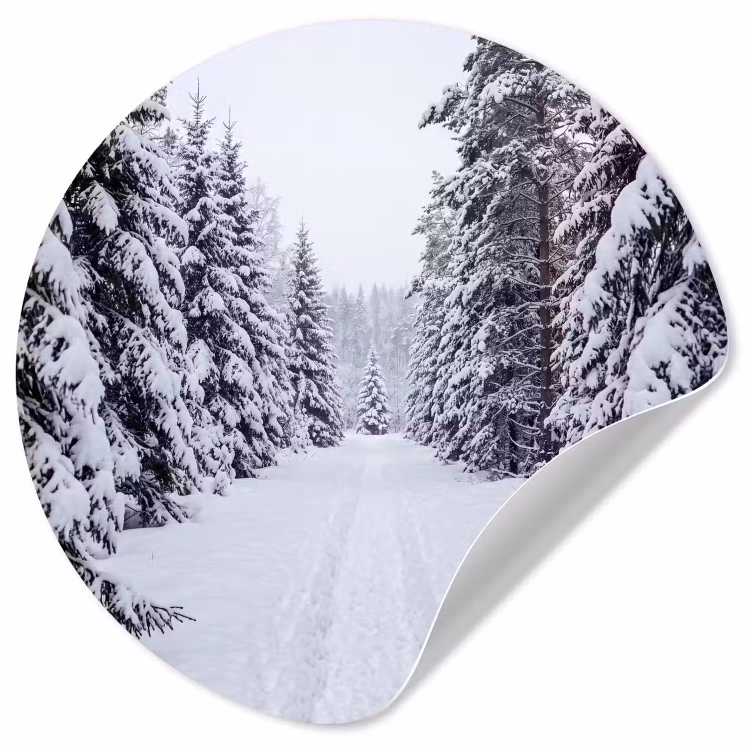 Bos - Winter - Sneeuw - Pad - Natuur Wandcirkel behangsticker klein -3d