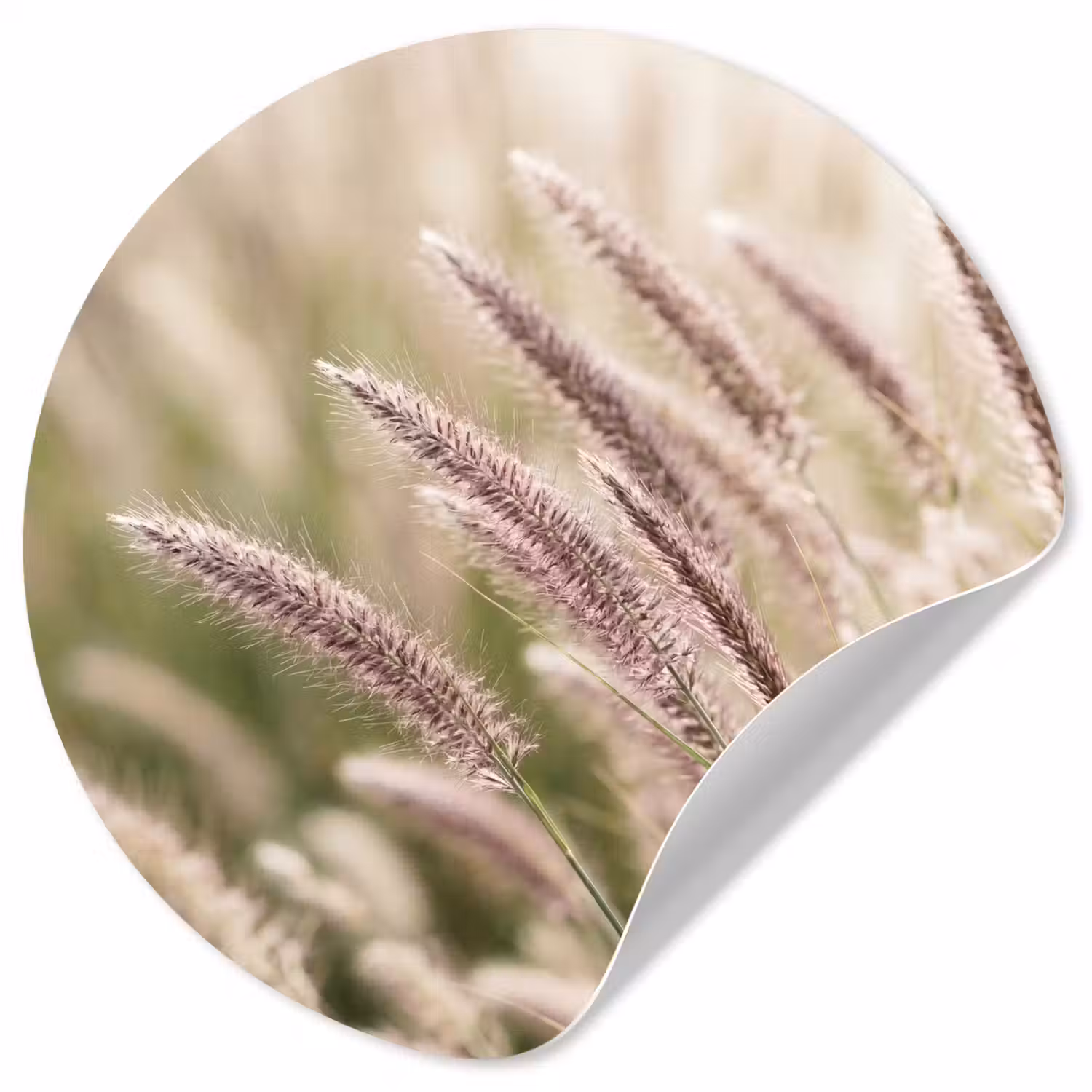 Gras - Close up - Groen Wandcirkel behangsticker klein -3d