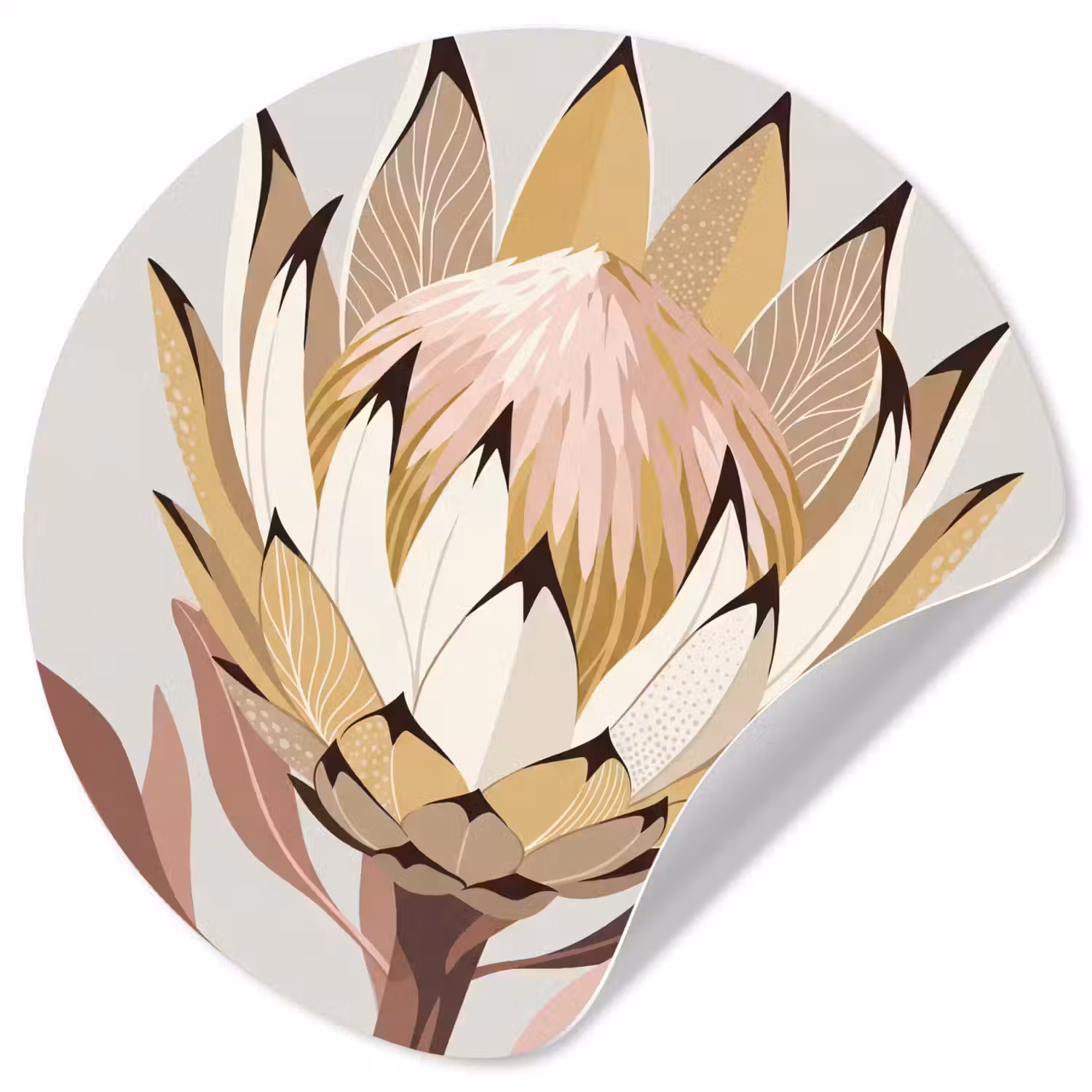 Protea - Bloem - Botanisch - Beige Wandcirkel behangsticker klein -3d