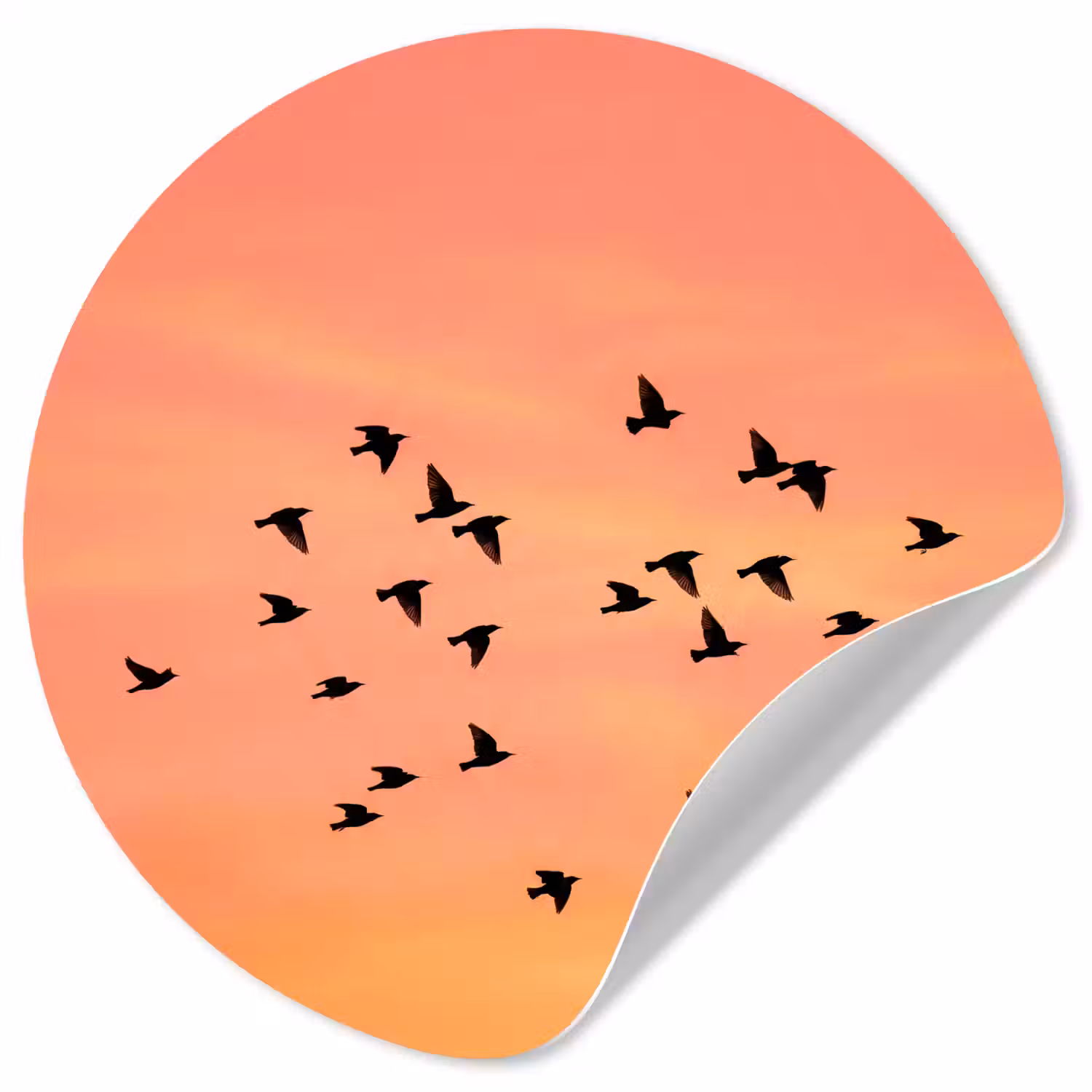 Zwerm - Vogels - Oranje Wandcirkel behangsticker klein -3d