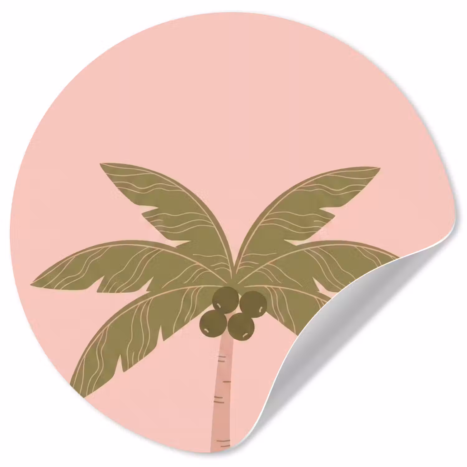 Boom - Palm - Natuur - Illustratie - Roze Wandcirkel behangsticker klein -3d