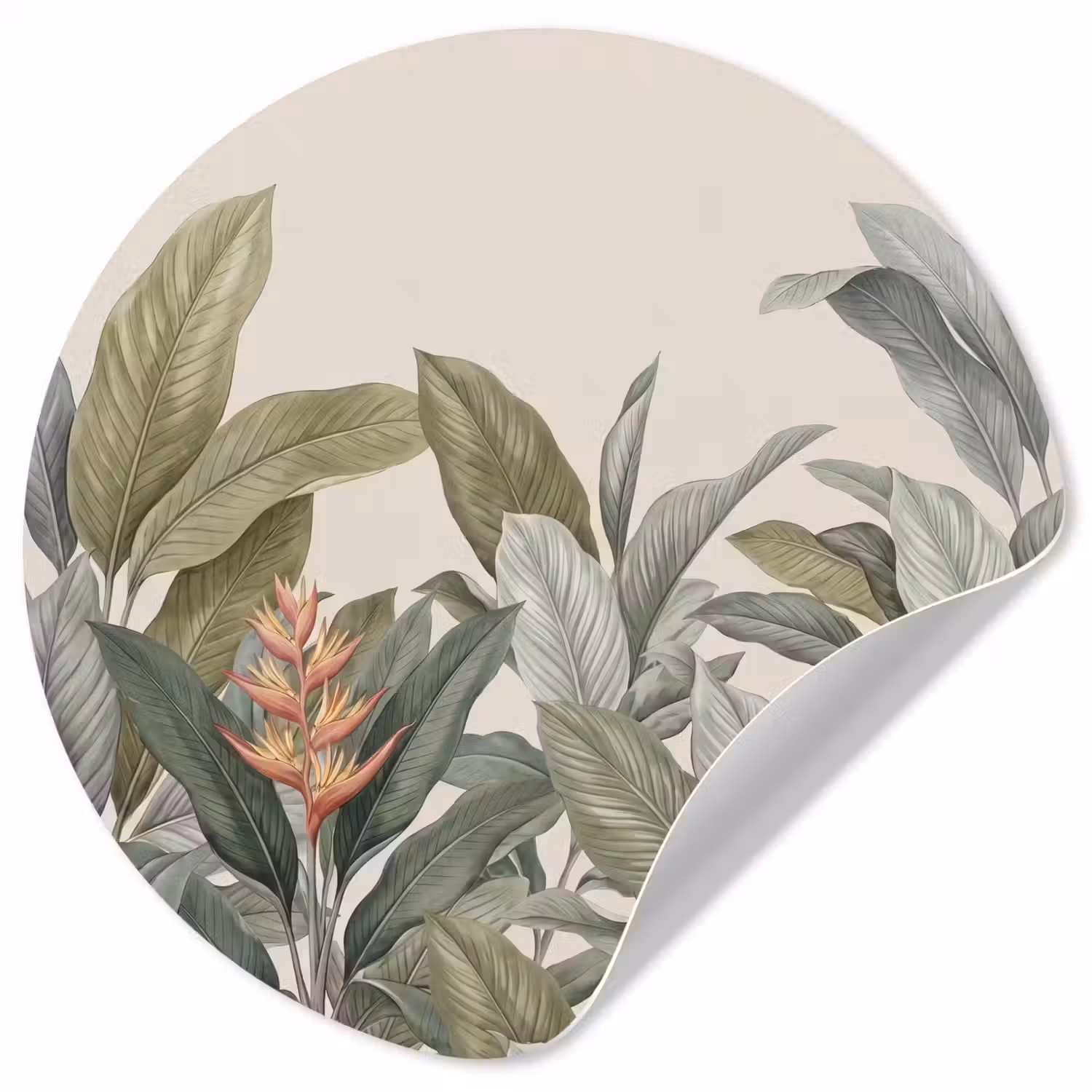Tropisch - Planten - Modern - Groen Wandcirkel behangsticker klein -3d
