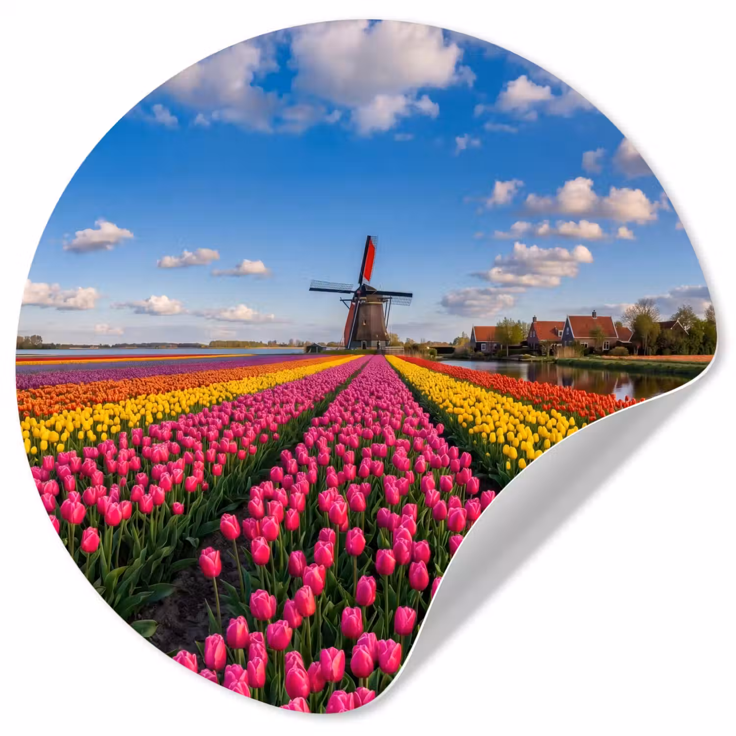 Tulpen - Holland - Molen - Kleurrijk Wandcirkel behangsticker klein -3d