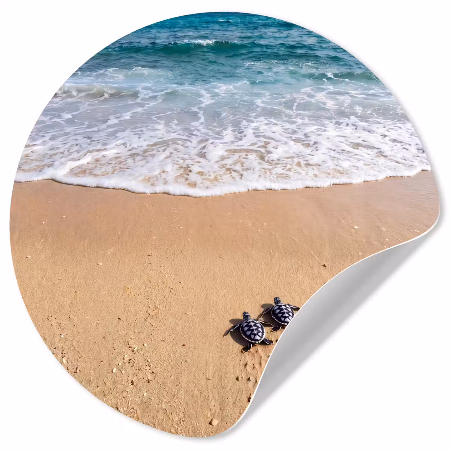 Schildpad - Jong - Strand - Oceaan - Blauw Wandcirkel behangsticker klein -3d