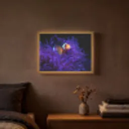 Koraal - Vis - Oranje - Zee Light Box met batterij (Wandlamp) middel -sfeer4