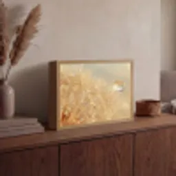 Paardenbloem - Water - Natuur - Planten - Modern Light Box met batterij (Wandlamp) middel -sfeer2