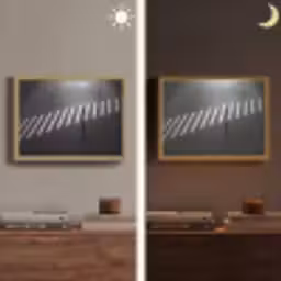 Zeebrapad - Hardloper - Zwart - Wit Light Box met batterij (Wandlamp) middel -sfeer3