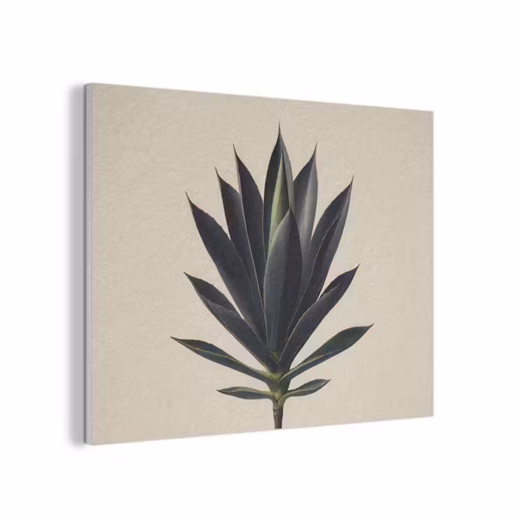 Agaveplant - Symmetrisch - Groen PET vilt klein -3d