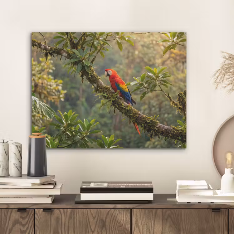 Ara - Jungle - Rood PET vilt klein -sfeer1