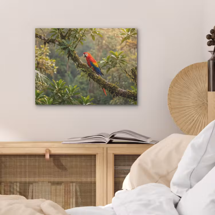 Ara - Jungle - Rood PET vilt klein -sfeer3