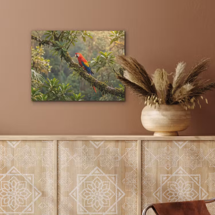 Ara - Jungle - Rood PET vilt klein -sfeer4