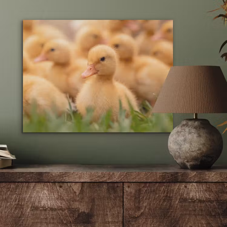 Pijltje - Eend - Natuur - Geel PET vilt klein -sfeer2