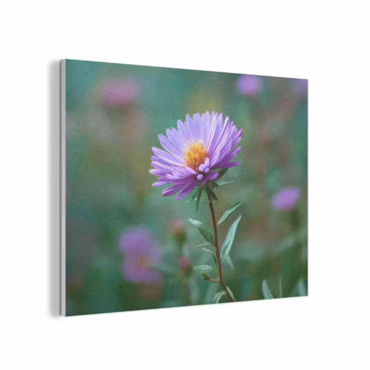 Aster - Paars - Bloem - Blaadjes PET vilt klein -3d