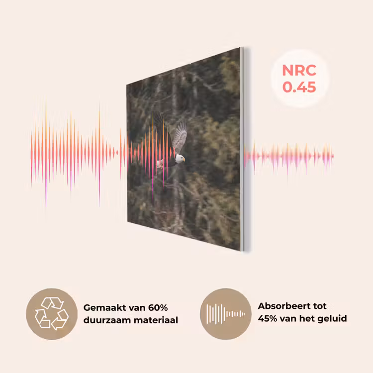 Zeearend - Vliegen - Bos - Natuur PET vilt klein -USP_NL
