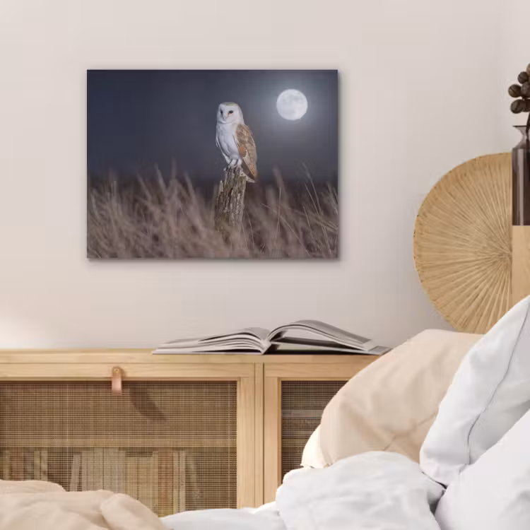 Kerkuil - Maan - Nacht PET vilt klein -sfeer3