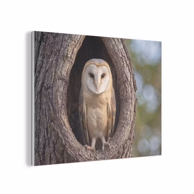 Kerkuil - Boom - Natuur - Bruin PET vilt klein -3d