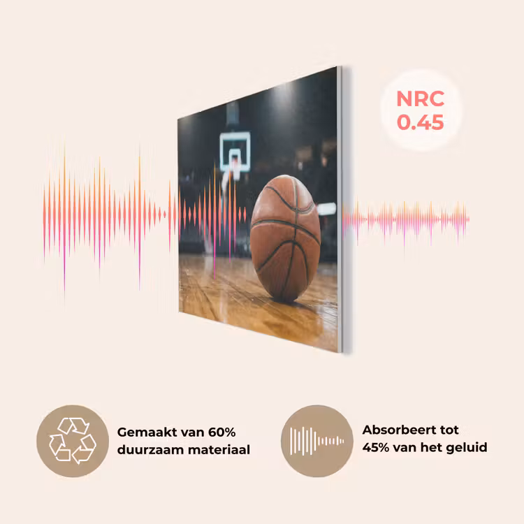 Basketbal - Arena - Sport PET vilt klein -USP_NL