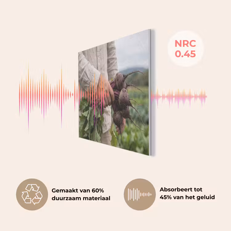Bieten - Vers - Moestuin PET vilt klein -USP_NL