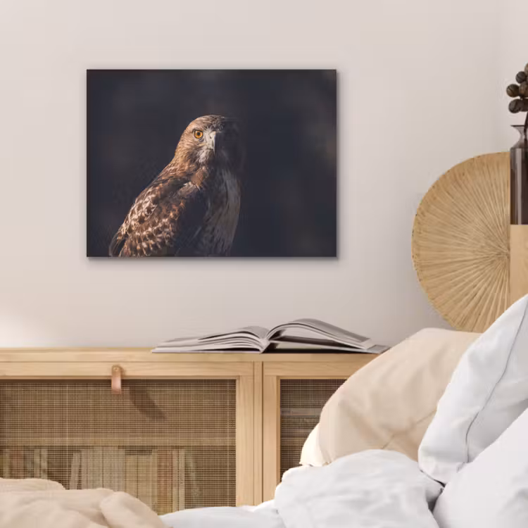 Roofvogel - Buizerd - Bruin PET vilt klein -sfeer3