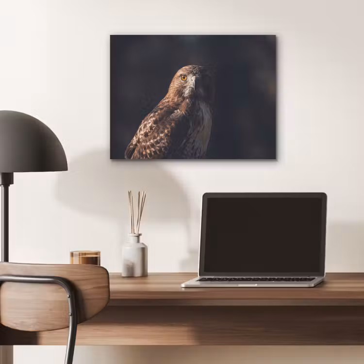Roofvogel - Buizerd - Bruin PET vilt klein -sfeer5