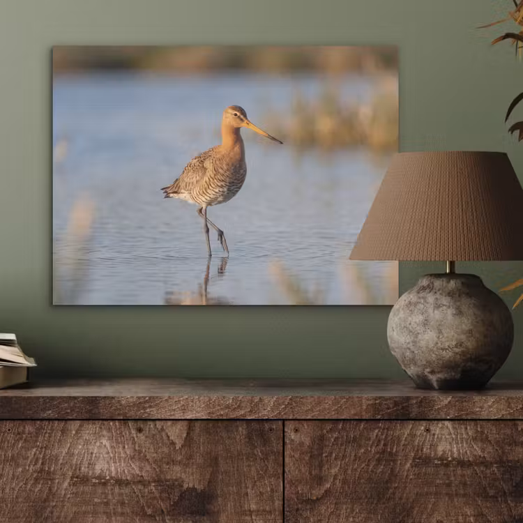 Vogel - Steltloper - Water - Natuur PET vilt klein -sfeer2