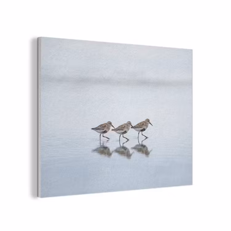 Vogels - Water - Grijs PET vilt klein -3d
