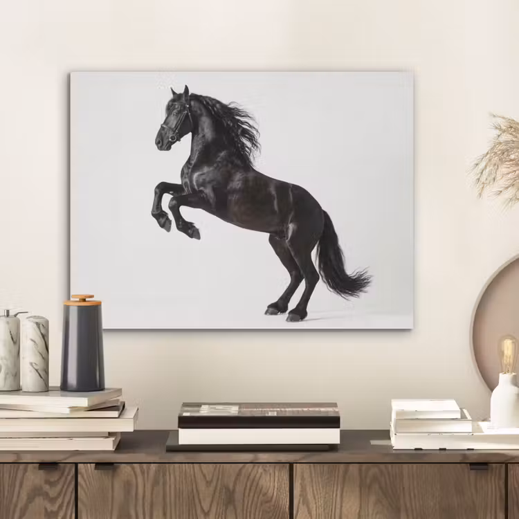 Zwart - Paard - Portret PET vilt klein -sfeer1