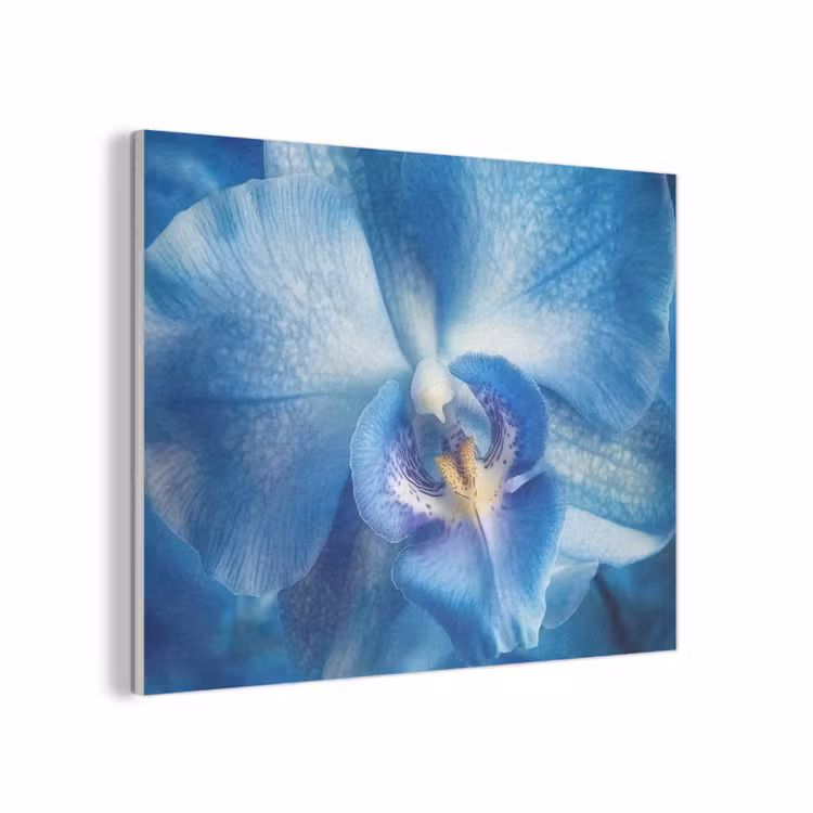 Blauw - Orchidee - Elegeant PET vilt klein -3d
