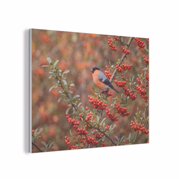 Goudvink - Bessen - Herfst - Natuur - Kleurrijk PET vilt klein -3d