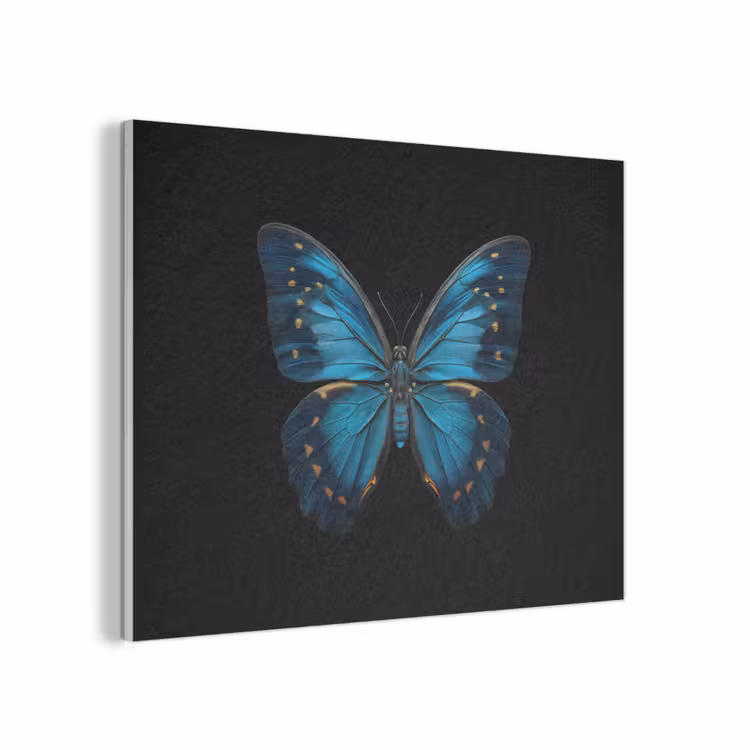 Vlinder - Blauw - Contrast PET vilt klein -3d