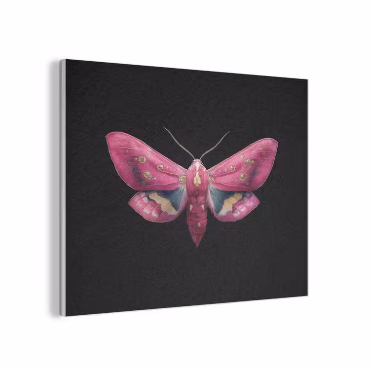 Vlinder - Roze - Nachtvlinder PET vilt klein -3d