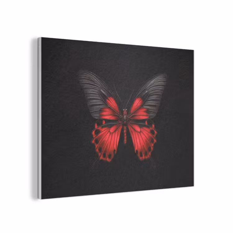 Vlinder - Rood - Contrast PET vilt klein -3d
