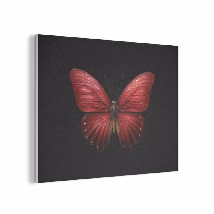 Vlinder - Rood - Minimalistisch PET vilt klein -3d