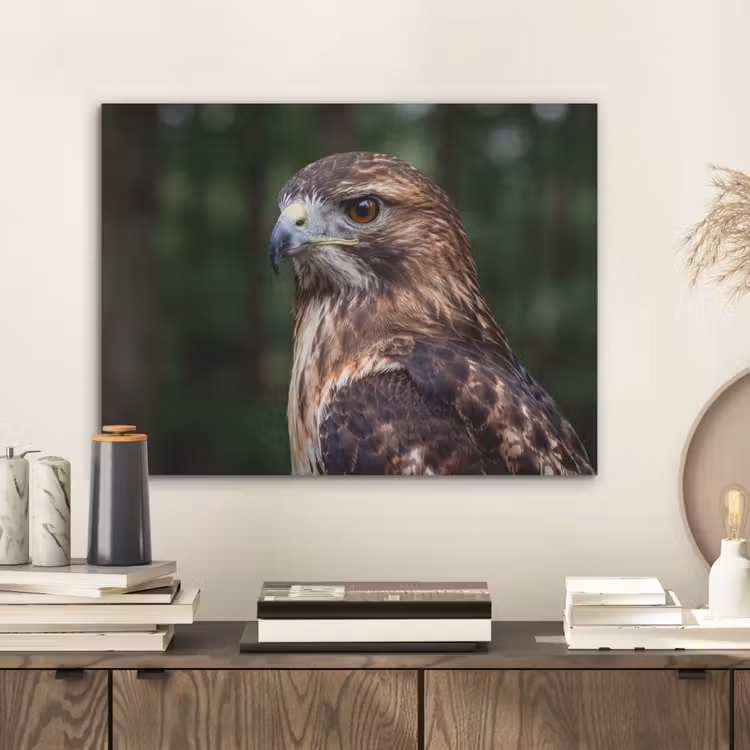 Buizerd - Roofvogel - Natuur - Bruin PET vilt klein -sfeer1