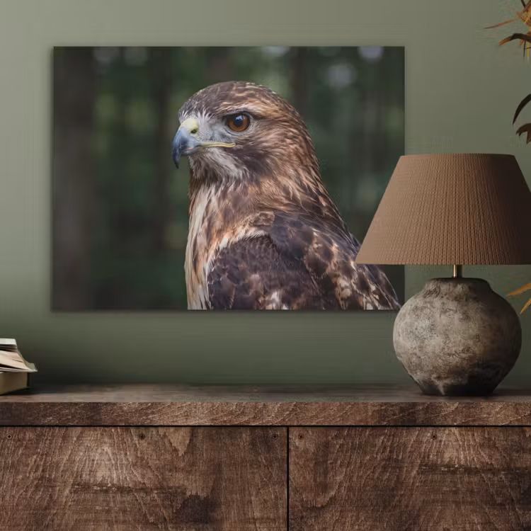Buizerd - Roofvogel - Natuur - Bruin PET vilt klein -sfeer2