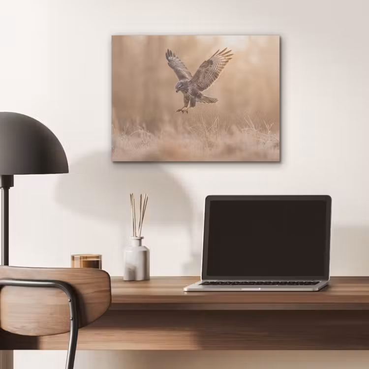 Buizerd - Roofvogel - Natuur - Bruin PET vilt klein -sfeer5