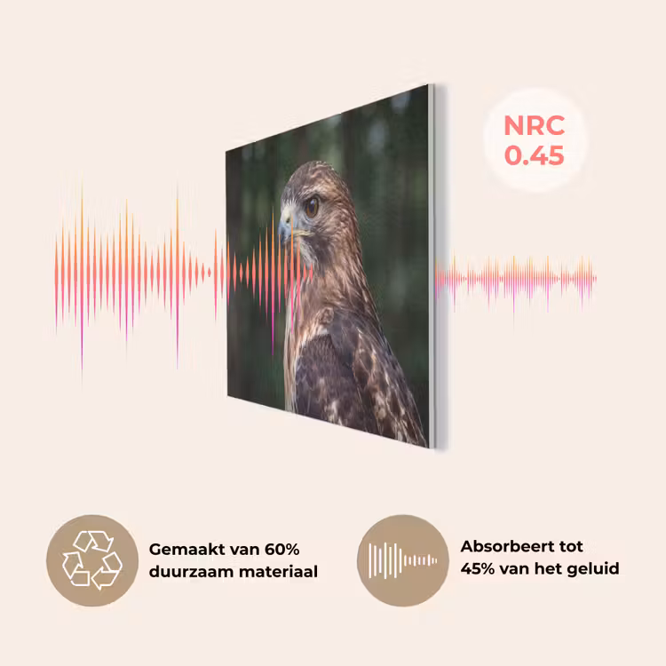 Buizerd - Roofvogel - Natuur - Bruin PET vilt klein -USP_NL